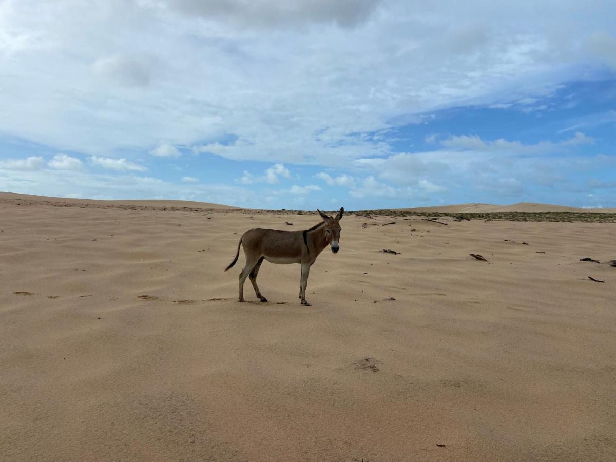 Casa Jasmin Villa Jijoca de Jericoacoara Bagian luar foto